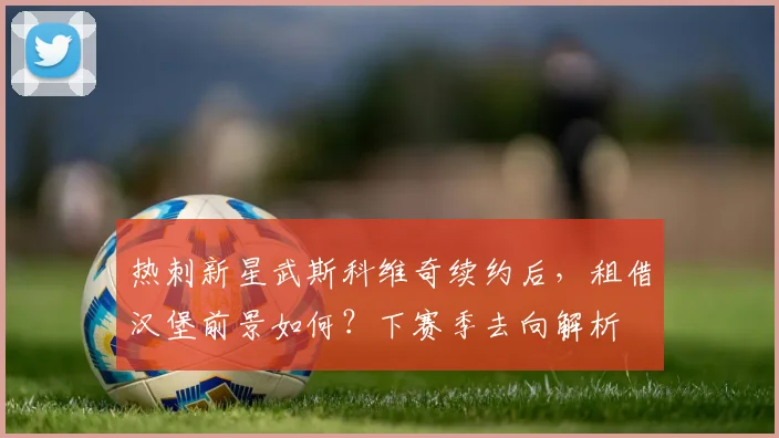 热刺新星武斯科维奇续约后，租借汉堡前景如何？下赛季去向解析